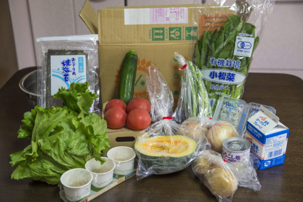 大地宅配のお試しセット。とくにレタスといんげん豆が最高だった。納豆・ゆう製品なども揃うので、普通のスーパーの代替として利用できる。