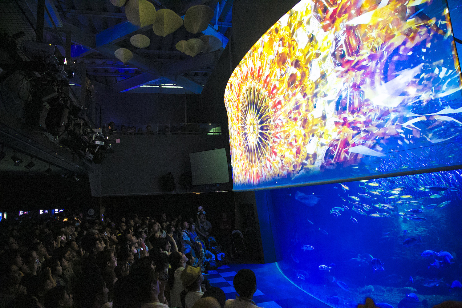 よかった 江ノ島水族館 ナイトアクアリウム の初上映を見物 プロジェクションマッピング 大水槽魚の共演に感動 あやこ記録する